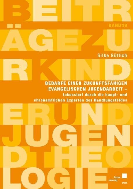 Bedarfe einer zukunftsfahigen evangelischen Jugendarbeit, fokussiert durch die haupt- und ehrenamtlichen Experten des Handlungsfeldes (Paperback)