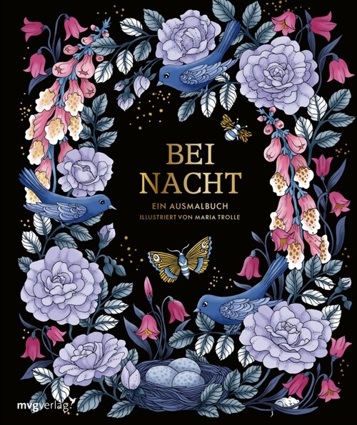 Bei Nacht - Ein Ausmalbuch (Paperback)