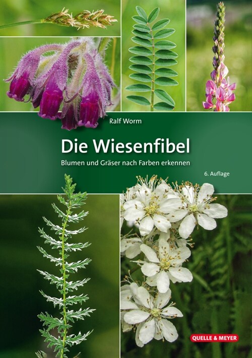 Die Wiesenfibel (Paperback)