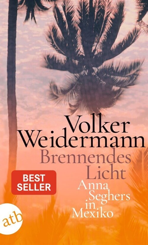 Brennendes Licht (Paperback)