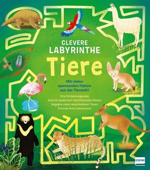 Clevere Labyrinthe - Tiere (Paperback)