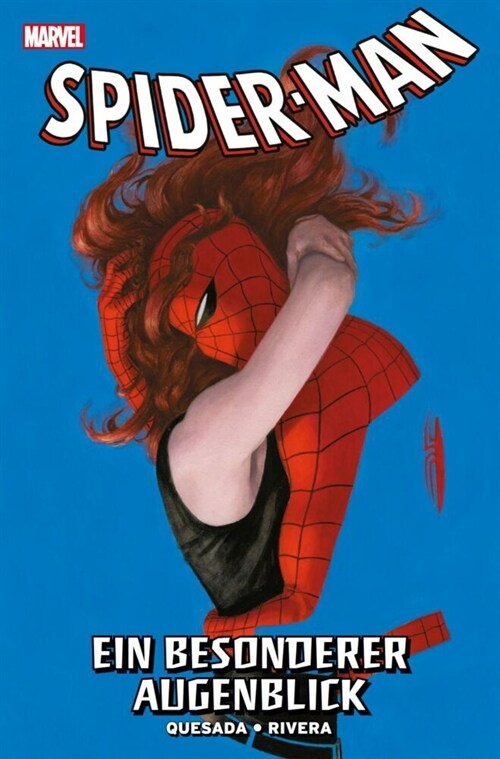 Spider-Man: Ein besonderer Augenblick (Hardcover)