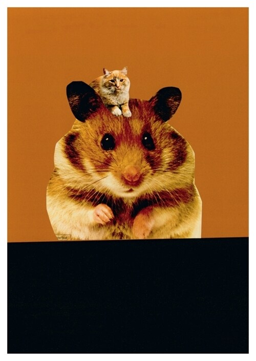 Ohne Titel / Hamster (Postkarte, 20 Ex) (General Merchandise)