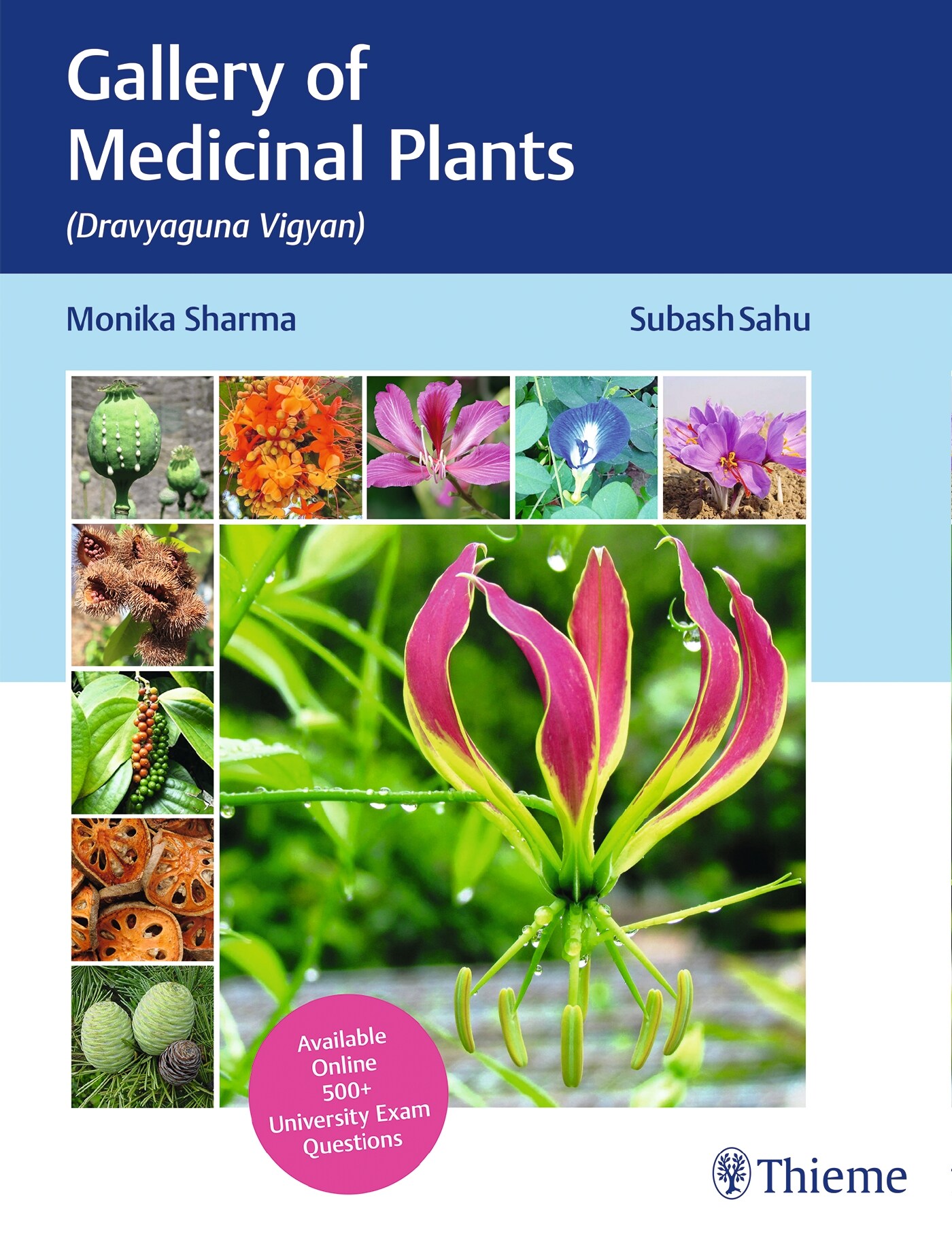 Gallery of Medicinal Plants: (Dravyaguna Vigyan) (Hardcover)