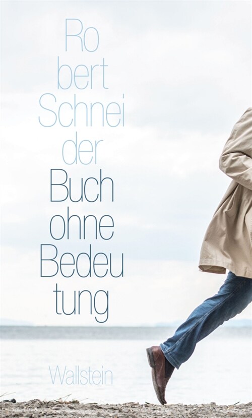 Buch ohne Bedeutung (Hardcover)