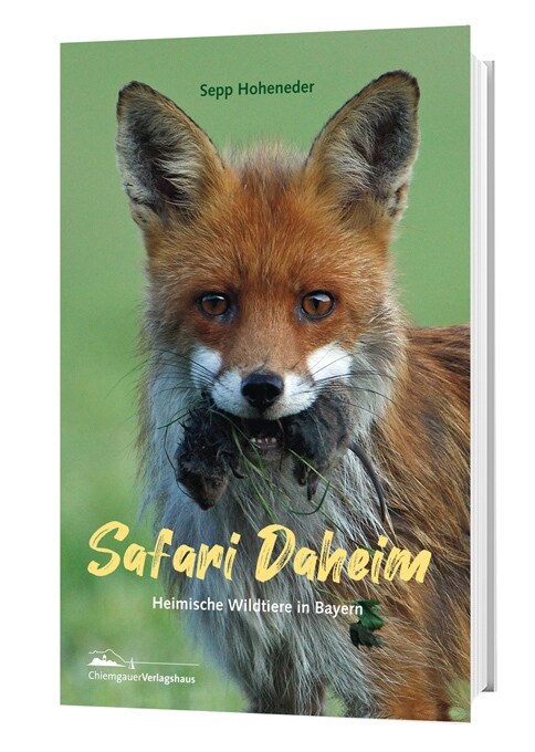 Safari Daheim (Paperback)