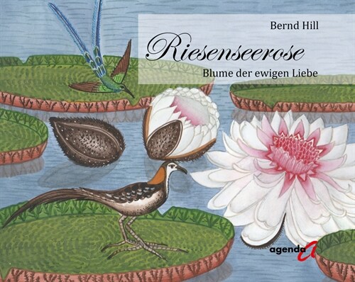 Riesenseerose (Hardcover)