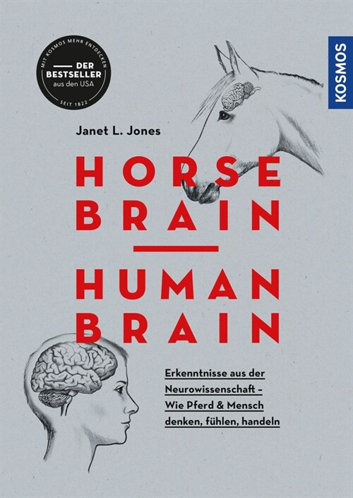 Horse Brain, Human Brain (Paperback)