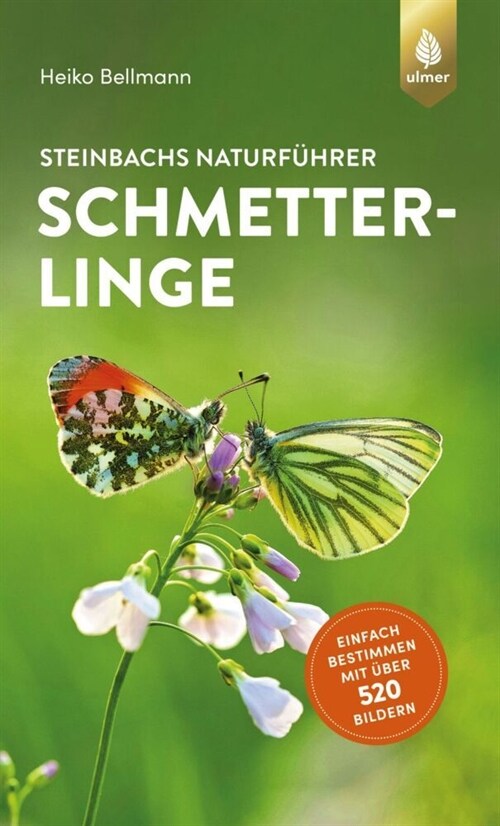 Steinbachs Naturfuhrer Schmetterlinge (Paperback)