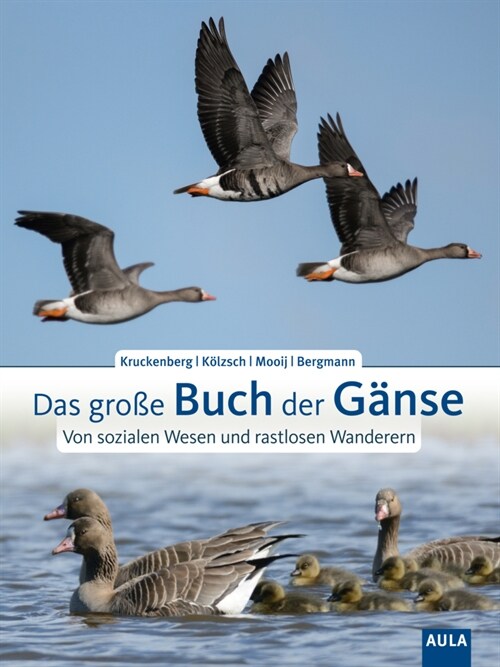 Das große Buch der Ganse (Hardcover)