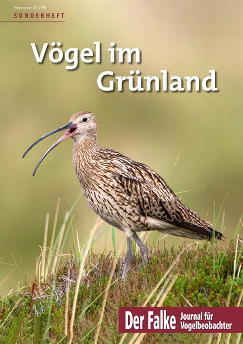 Vogel im Grunland (Paperback)