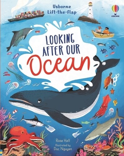 Lift-the-flap Looking After Our Ocean (Board Book)