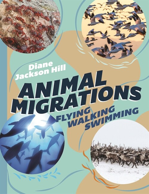 Animal Migrations: Flying, Walking, Swimming (Hardcover)