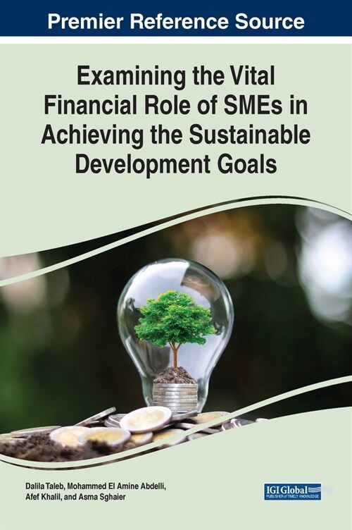 Examining the Vital Financial Role of SMEs in Achieving the Sustainable Development Goals (Hardcover)