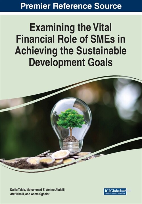 Examining the Vital Financial Role of SMEs in Achieving the Sustainable Development Goals (Paperback)