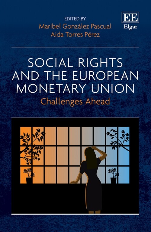 Social Rights and the European Monetary Union : Challenges Ahead (Hardcover)