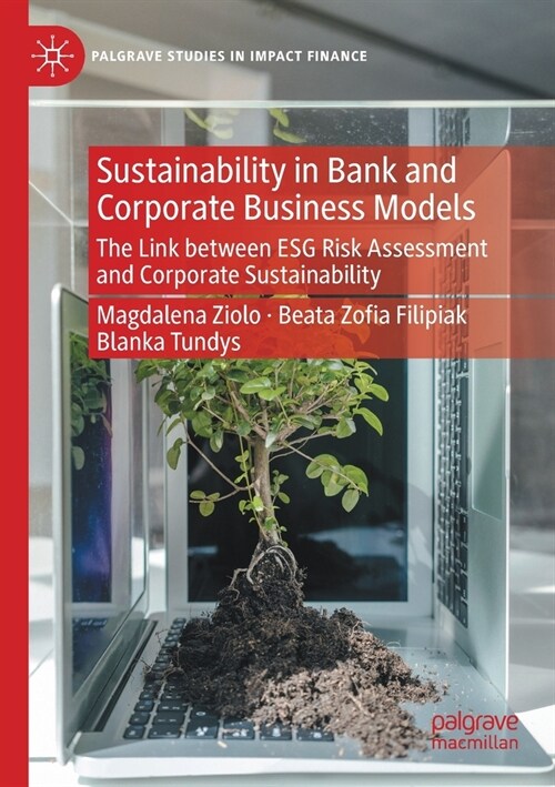 Sustainability in Bank and Corporate Business Models: The Link between ESG Risk Assessment and Corporate Sustainability (Paperback)
