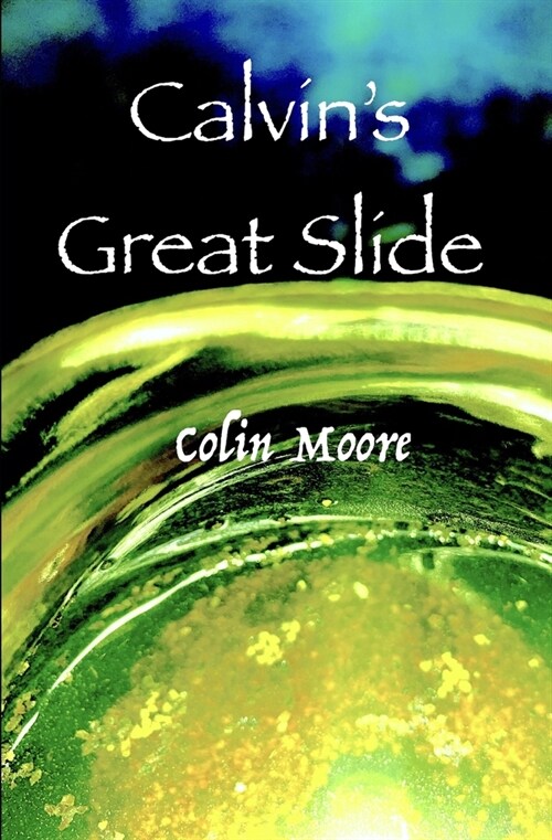 Calvins Great Slide (Paperback)