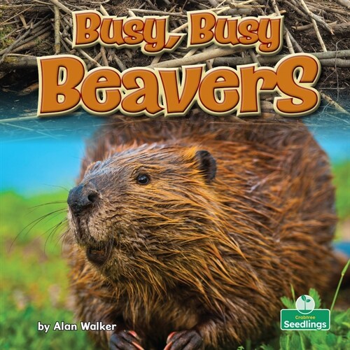 Busy, Busy Beavers (Library Binding)