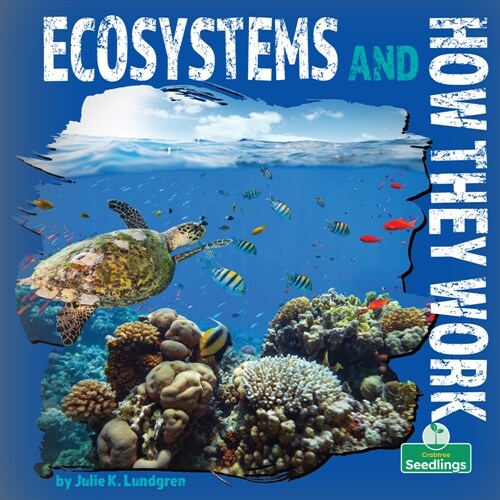 Ecosystems and How They Work (Library Binding)