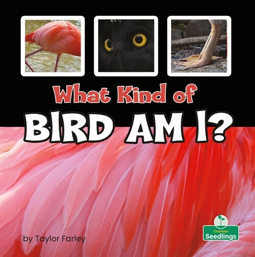 What Kind of Bird Am I? (Library Binding)