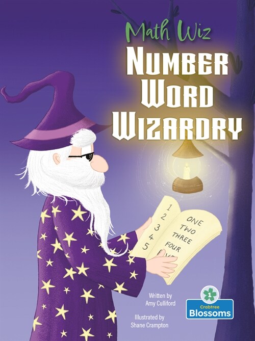 Number Word Wizardry (Paperback)