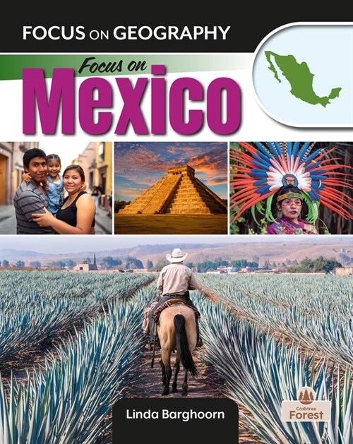 Focus on Mexico (Paperback)