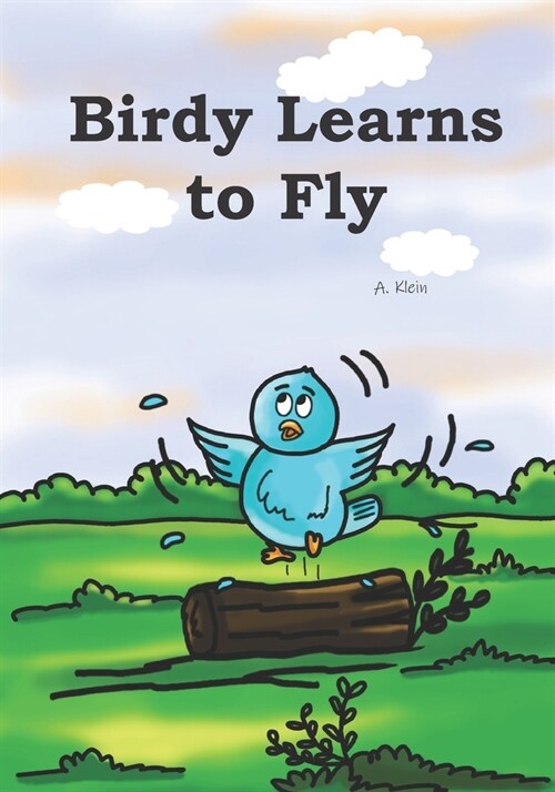 Birdy Learns to Fly (Paperback)