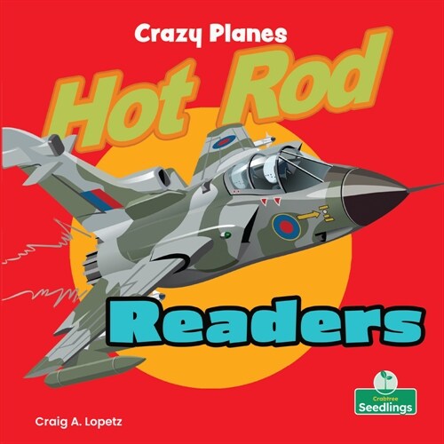 Crazy Planes (Paperback)