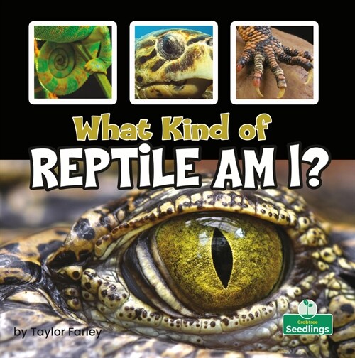 What Kind of Reptile Am I? (Paperback)