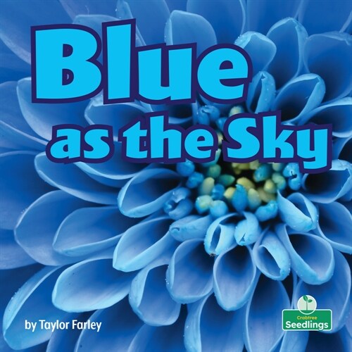 Blue as the Sky (Paperback)