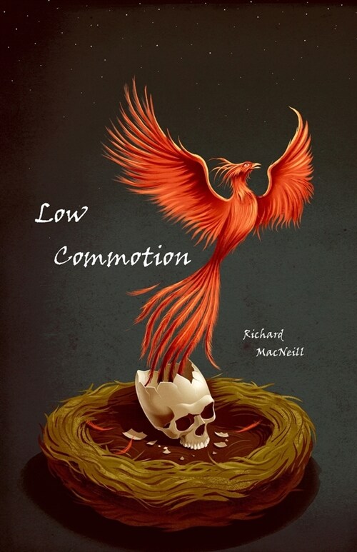 Low Commotion (Paperback)
