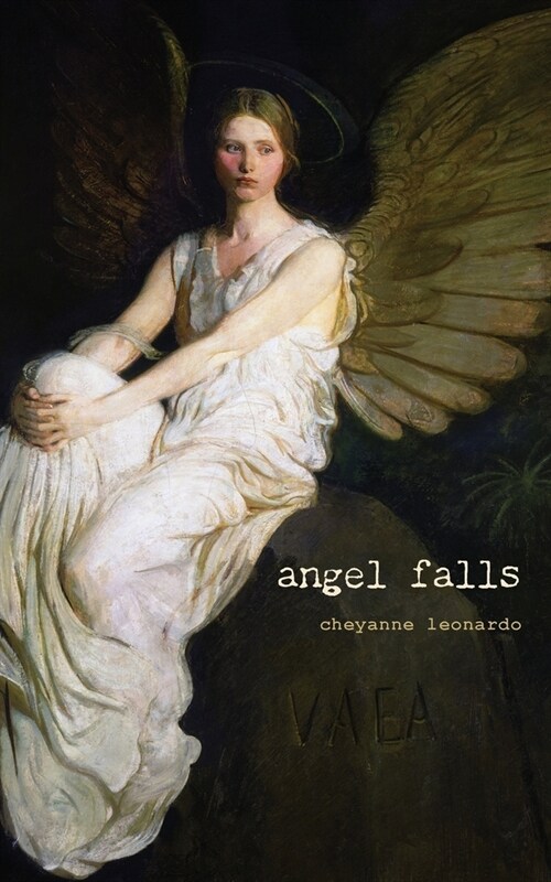 angel falls (Paperback)