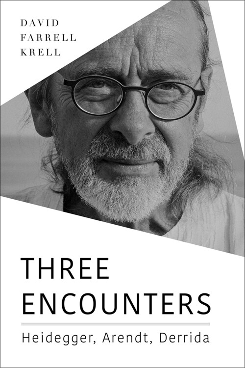 Three Encounters: Heidegger, Arendt, Derrida (Hardcover)