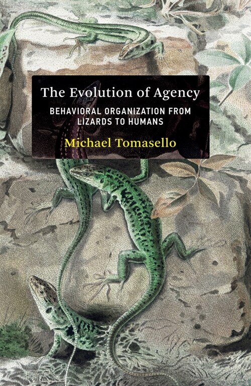 The Evolution of Agency: Behavioral Organization from Lizards to Humans (Hardcover)