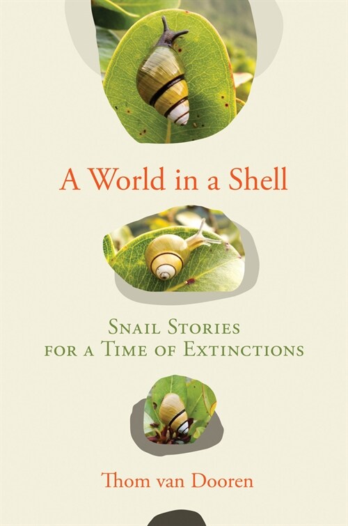 A World in a Shell: Snail Stories for a Time of Extinctions (Hardcover)