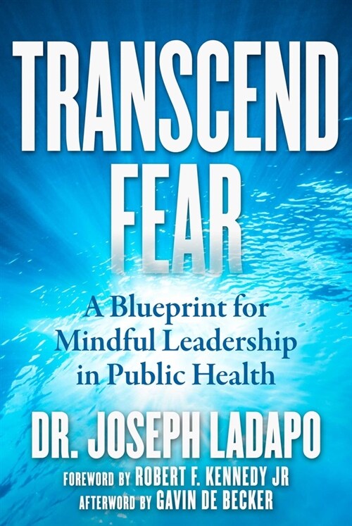 Transcend Fear: A Blueprint for Mindful Leadership in Public Health (Hardcover)