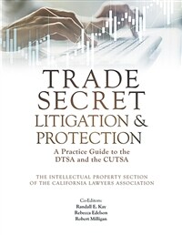 Trade secret litigation & protection : a practice guide to the DTSA and the CUTSA