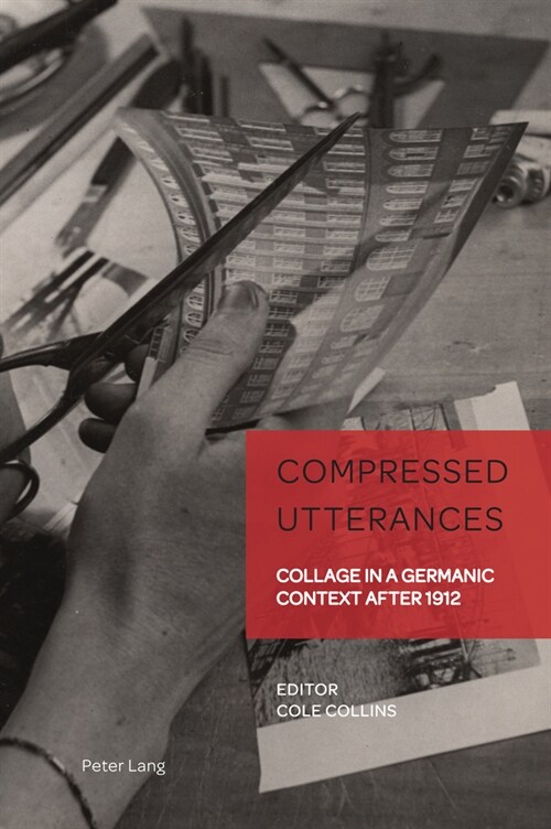 Compressed Utterances : Collage in a Germanic Context after 1912 (Hardcover, New ed)