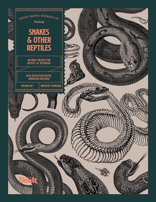 Snakes and Other Reptiles (Paperback)
