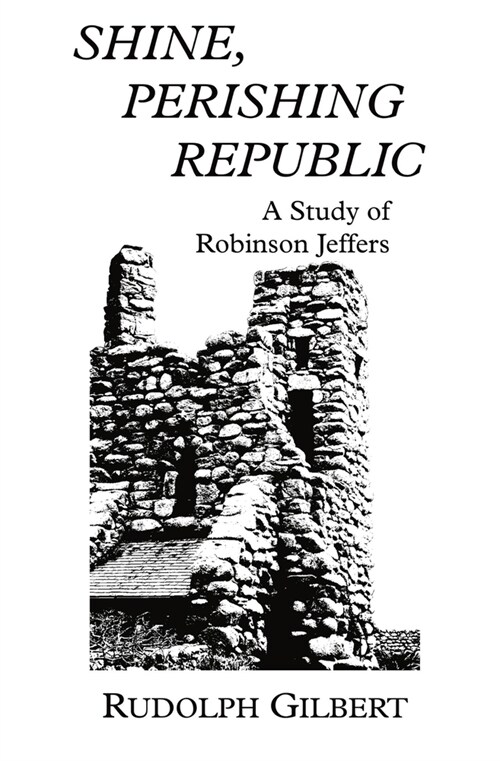 Shine, Perishing Republic (Paperback)