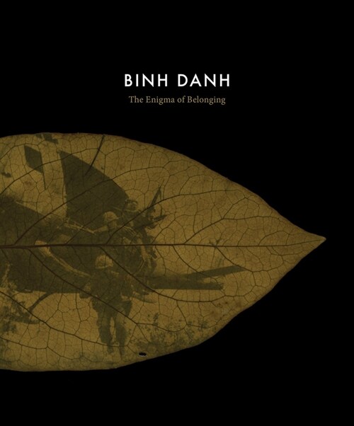 Binh Danh: The Enigma of Belonging (Hardcover)