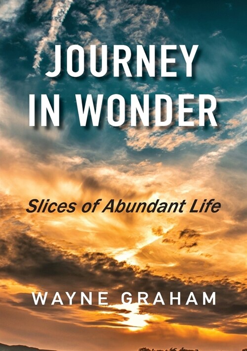 Journey in Wonder: Slices of Abundant Life (Paperback)