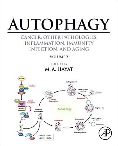 Autophagy: Cancer, Other Pathologies, Inflammation, Immunity, Infection, and Aging: Volume 2 - Role in General Diseases (Hardcover)