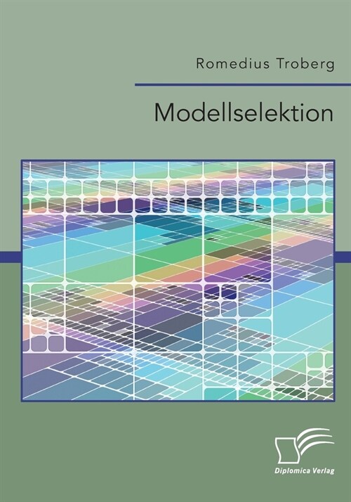 Modellselektion (Paperback)