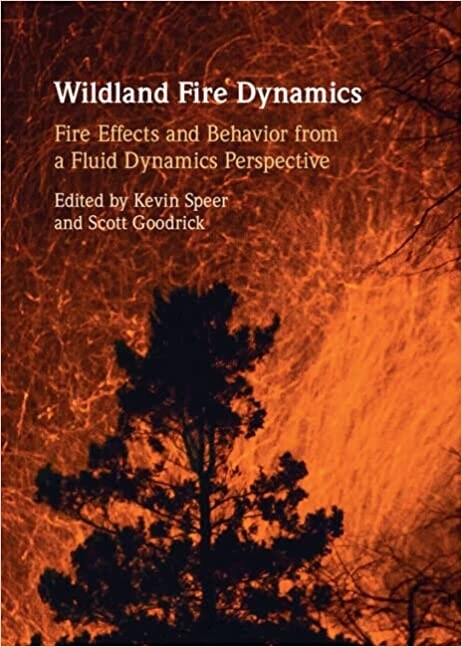 Wildland Fire Dynamics (Hardcover)