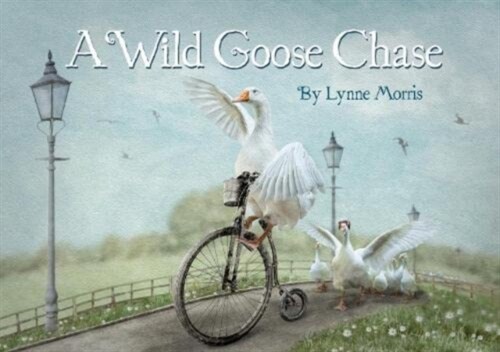 A Wild Goose Chase (Paperback)