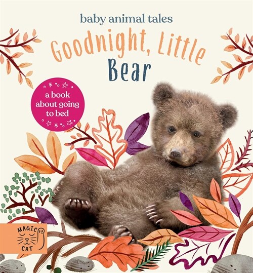 Goodnight, Little Bear : A Book About Going to Bed (Hardcover)