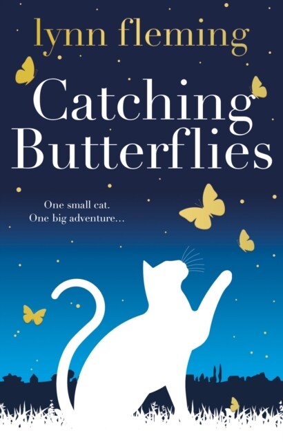 Catching Butterflies (Paperback)
