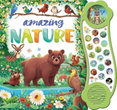 Amazing Nature (Board Book)